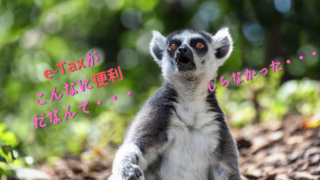 会社員とe-Tax