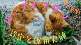 ループイフダン設定と運用実績